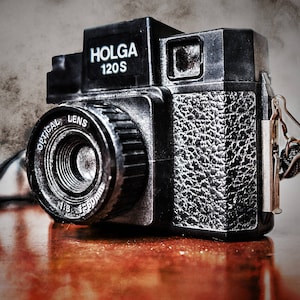 Holga 120s Film Camera Photographer Collector Photo Still Life Art Print