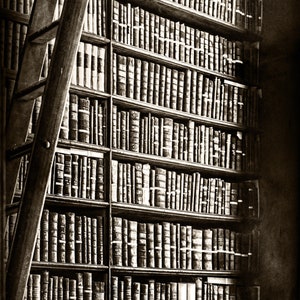 Library Book Black and White Sepia Art Photography Print