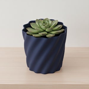 Peut inclure: Un pot de fleurs bleu marine foncé avec une texture torsadée en spirale sur ses parois extérieures. Le récipient cylindrique présente un bord supérieur ondulé et festonné, contenant une succulente vert clair aux feuilles pointues serrées.