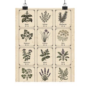 May include: A botanical wall art print featuring a grid of twelve illustrated herbs on a cream-colored background. Each square contains a detailed drawing of a plant labeled with its name, including basil, thyme, rosemary, parsley, chives, dill, oregano, mint, sage, and lavender, with small sun and water droplet icons.