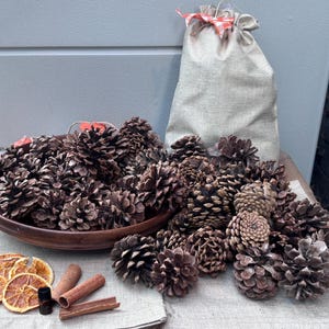 May include: A collection of brown pinecones in a dark wooden bowl and scattered on a burlap surface, accompanied by a small burlap drawstring bag with a red and white checkered ribbon, dried orange slices, cinnamon sticks, and a small glass vial.