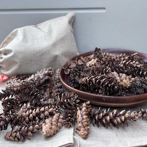 May include: A collection of brown pine cones scattered on a light beige fabric surface, with a portion of the pine cones contained within a dark brown wooden bowl and a beige drawstring fabric pouch visible in the background.