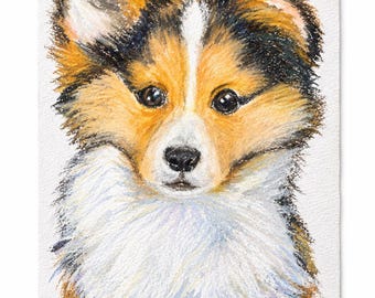 Dierenportretten in olieverfpastel