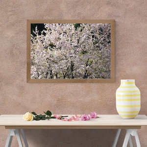Beautiful Wild Cherry Blossom Photo Print, Japanese Mountain Sakura Nature Wall Art, Niigata Spring Landscape Digital Download (Set of 10)