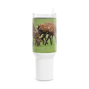 May include: A white stainless steel tumbler featuring a wrap-around photographic print of brown deer with large antlers grazing in a green grassy field. The drinkware includes a clear plastic lid with a built-in straw and a white base.