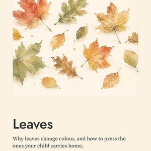 Leaves Unit Study for Pre-K–2nd – Nature Homeschool Curriculum (PDF)