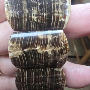 May include: A bracelet composed of rectangular polished stone segments featuring a dark brown base color with prominent, light-colored vertical striations and organic banding patterns throughout the surface of each individual stone link.