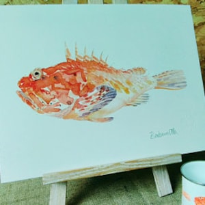 Peixe-escorpião, Scorpaenidae