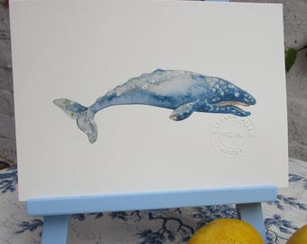 Grey Whale, mini print.