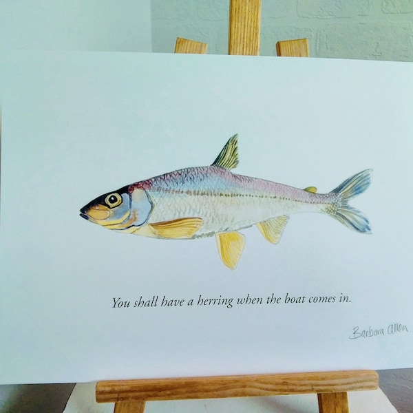 You shall have a herring.