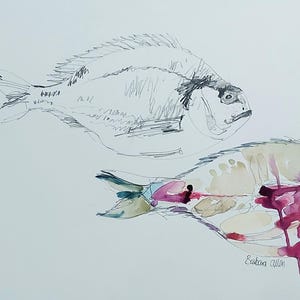 Brema enojada: Arte original de peces a lápiz y acuarela