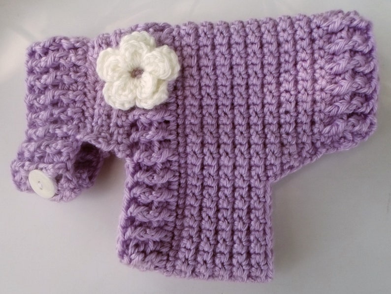 May include: A lavender crocheted dog sweater with a white crocheted flower and a white button.