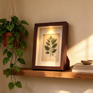 May include: A dark wood shadow box frame containing a botanical print of a green leafed plant. The frame features an integrated light at the top, illuminating the artwork. The frame sits on a wooden shelf next to a stack of books.