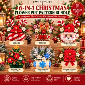 Puede incluir: Un paquete PDF digital titulado 6-IN-1 CHRISTMAS FLOWER POT PATTERN BUNDLE que presenta seis diseños de manualidades con limpiapipas: maceta de bastón de caramelo, pan de jengibre, Santa Claus, árbol, copo de nieve y flor de pascua.