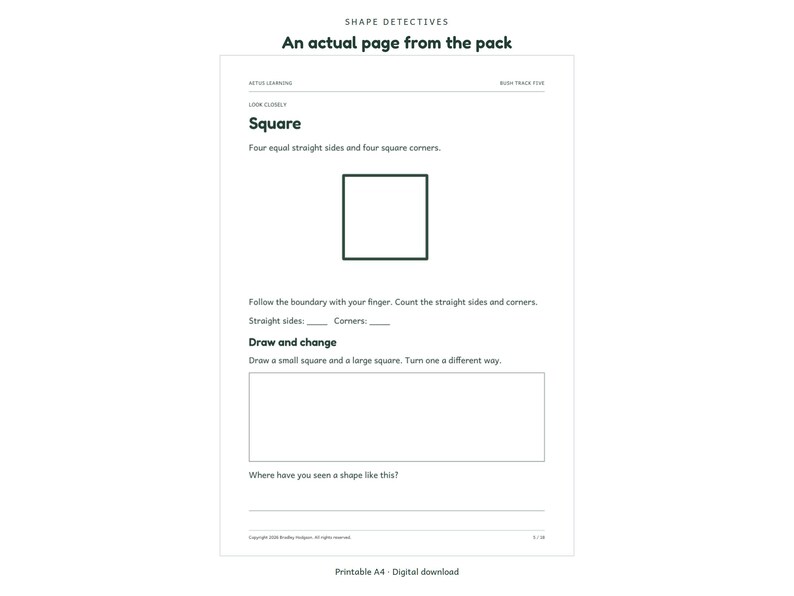 Shape Detectives: actual activity page 1; Aetus Learning.