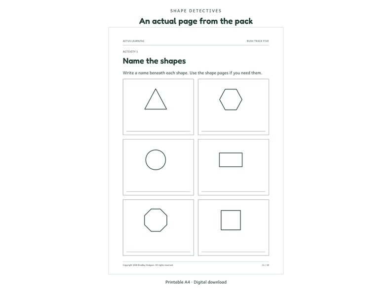 Shape Detectives: actual activity page 2; Aetus Learning.
