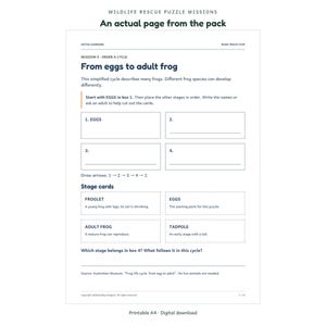 Wildlife Rescue Puzzle Missions - actual activity page preview 2 - Aetus Learning, art refresh September 2026.