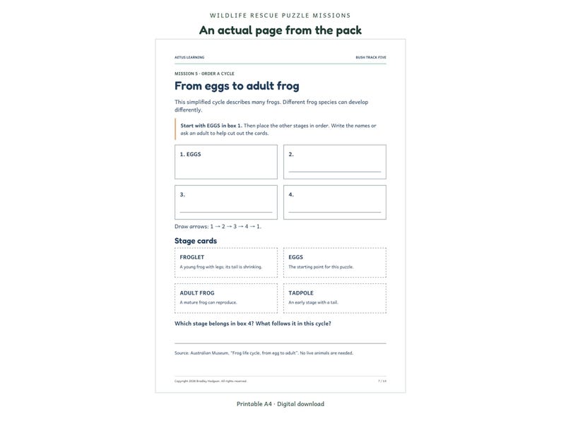 Wildlife Rescue Puzzle Missions - actual activity page preview 2 - Aetus Learning, art refresh September 2026.