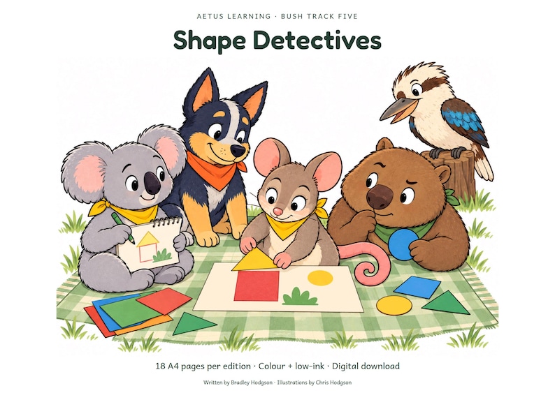 Shape Detectives: illustrated cover; Aetus Learning.