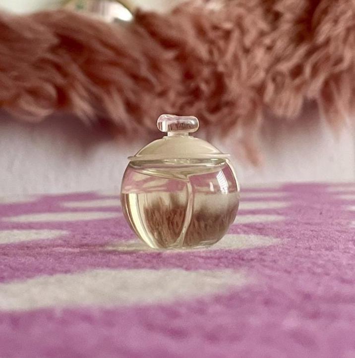 ❤️CACHAREL FLEUR NOA 50 ML❤️レア❤️生産中止 ❤️CACHAREL