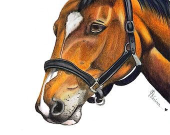 Originalillustration av en häst.