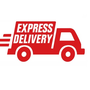Expedite Shipping Next Day Air