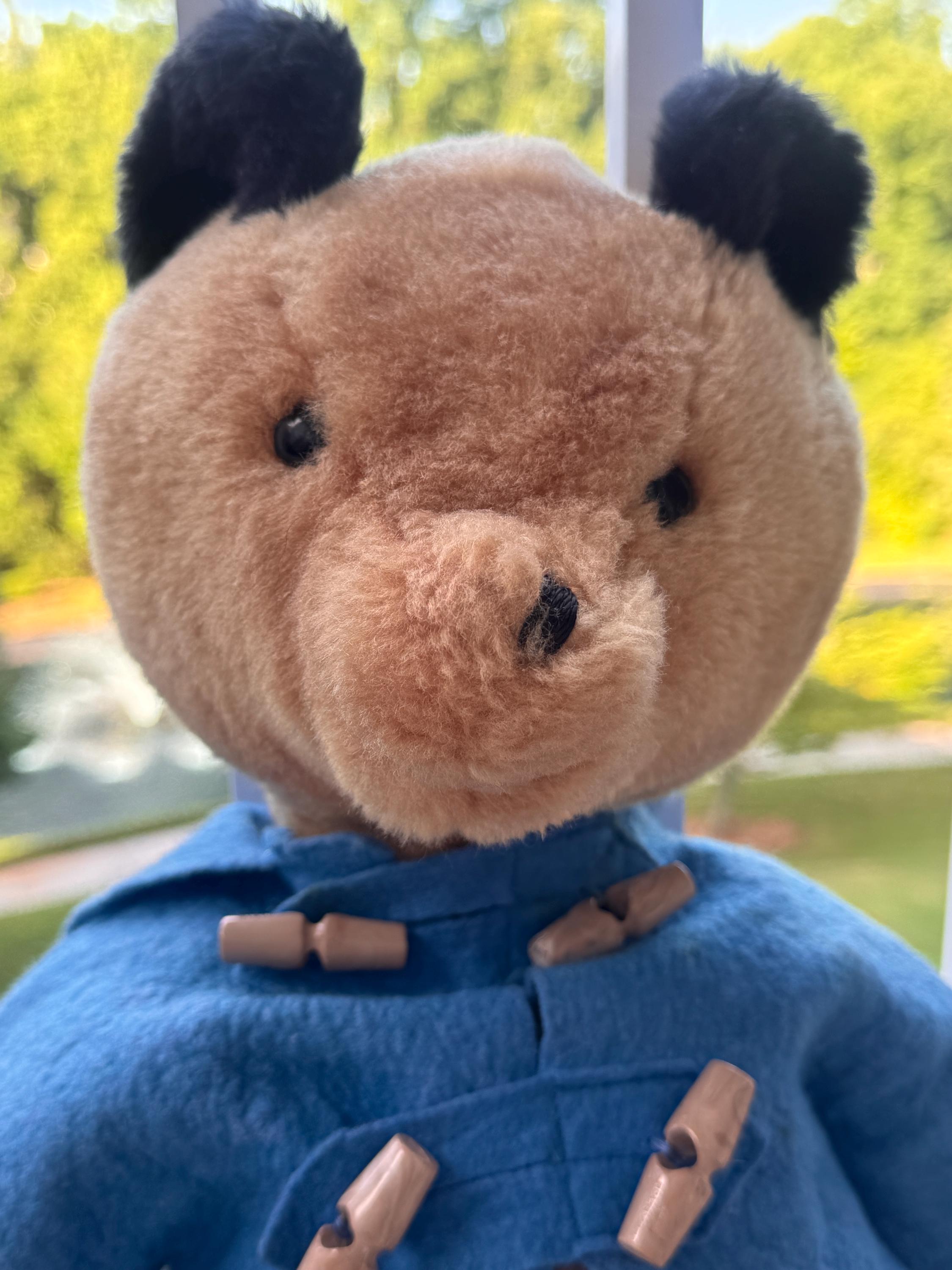 Eden Toys Paddington Bear - Etsy