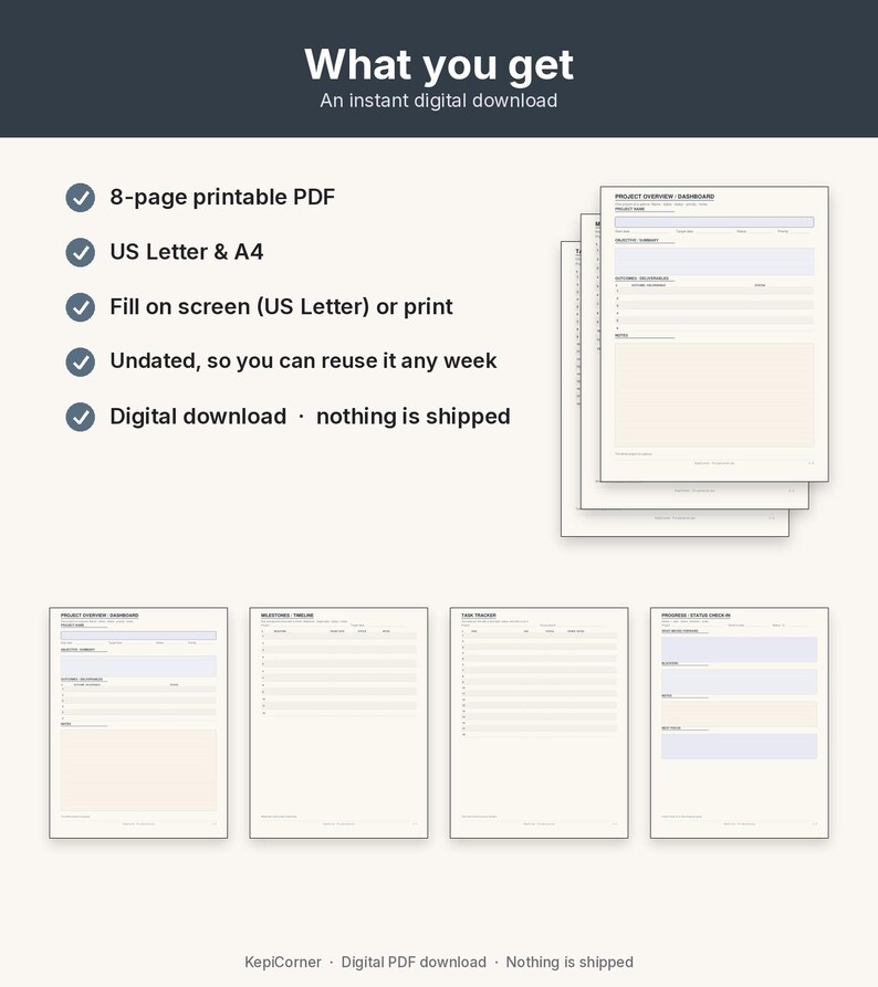 Project Tracker Printable | Project Planner Fillable PDF | One Project Overview Letter A4 image 10