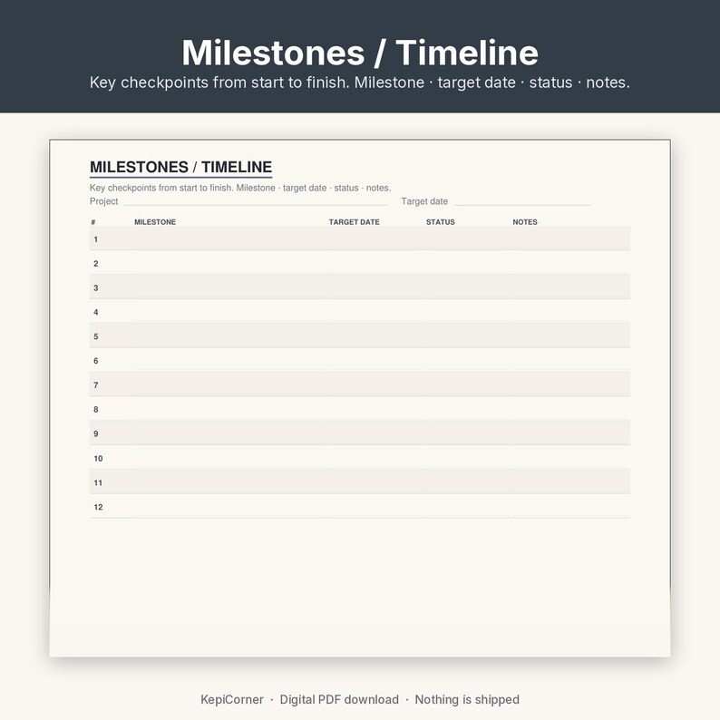 Project Tracker Printable | Project Planner Fillable PDF | One Project Overview Letter A4 image 7