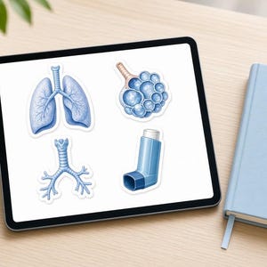Könnte beinhalten: Ein Tablet-Bildschirm zeigt vier medizinische Aufkleber: ein Paar menschliche Lungen, eine Ansammlung blauer Alveolen, einen verzweigten Bronchialbaum und einen blauen Asthma-Inhalator. Die Aufkleber sind auf einem weißen Hintergrund angeordnet.
