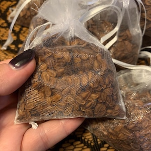 Common Milkweed Seeds
