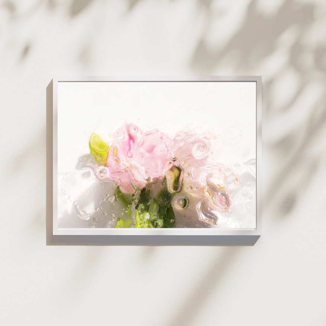 Pink Rose Fine Art Print, Nature Inspired Photo by Araya Jensen - Etsy
