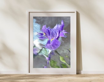 Purple Iris on Blue, Modern Macro Photography Artwork by Araya Jensen