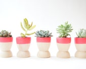Mini Planters set of 5 by Wind and Willow Home, neon pink, wedding favors, modern home decor