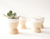 Mini Planters set of 4, Snow White Sparkle, wedding favors, modern home decor, hostess gift