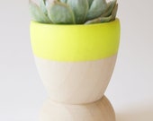 Mini Planters set of 5 by Wind and Willow Home, neon yellow, wedding favors, modern home decor