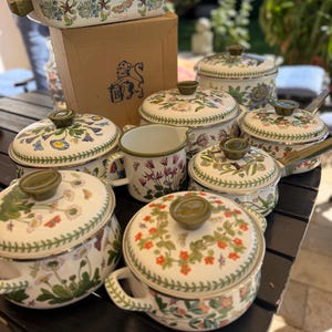 Op de afbeelding: Een collectie wit geëmailleerd kookgerei met kleurrijke botanische illustraties en vlinders, inclusief potten met deksels, een kan en een rechthoekige ovenschaal. Een kartonnen doos met een blauw leeuwenlogo staat achter de voorwerpen.