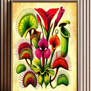 Kunst met vleesetende planten: levendige print van een Venusvliegenvanger, tropische botanische illustratie, exotische regenwoudplanten als wanddecoratie, bekerplantkunst