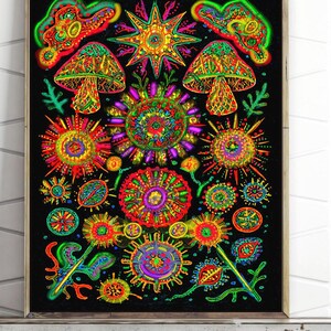 Può includere: Una stampa artistica psichedelica colorata e incorniciata con sfondo nero. L'opera presenta disegni vibranti e intricati di funghi, stelle e motivi floreali nelle tonalità del rosso, verde, giallo e viola. La stampa è esposta su una mensola bianca contro un muro di mattoni bianchi.