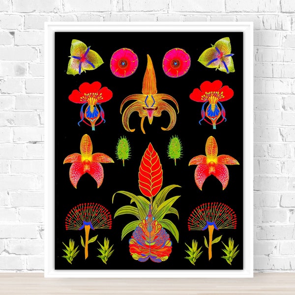 Abstract Nature Landscape Poster, Modern Botanical Painting, Neon Flowers Art Print on Black Background, Cool Wall Art, Indie Romm Decor