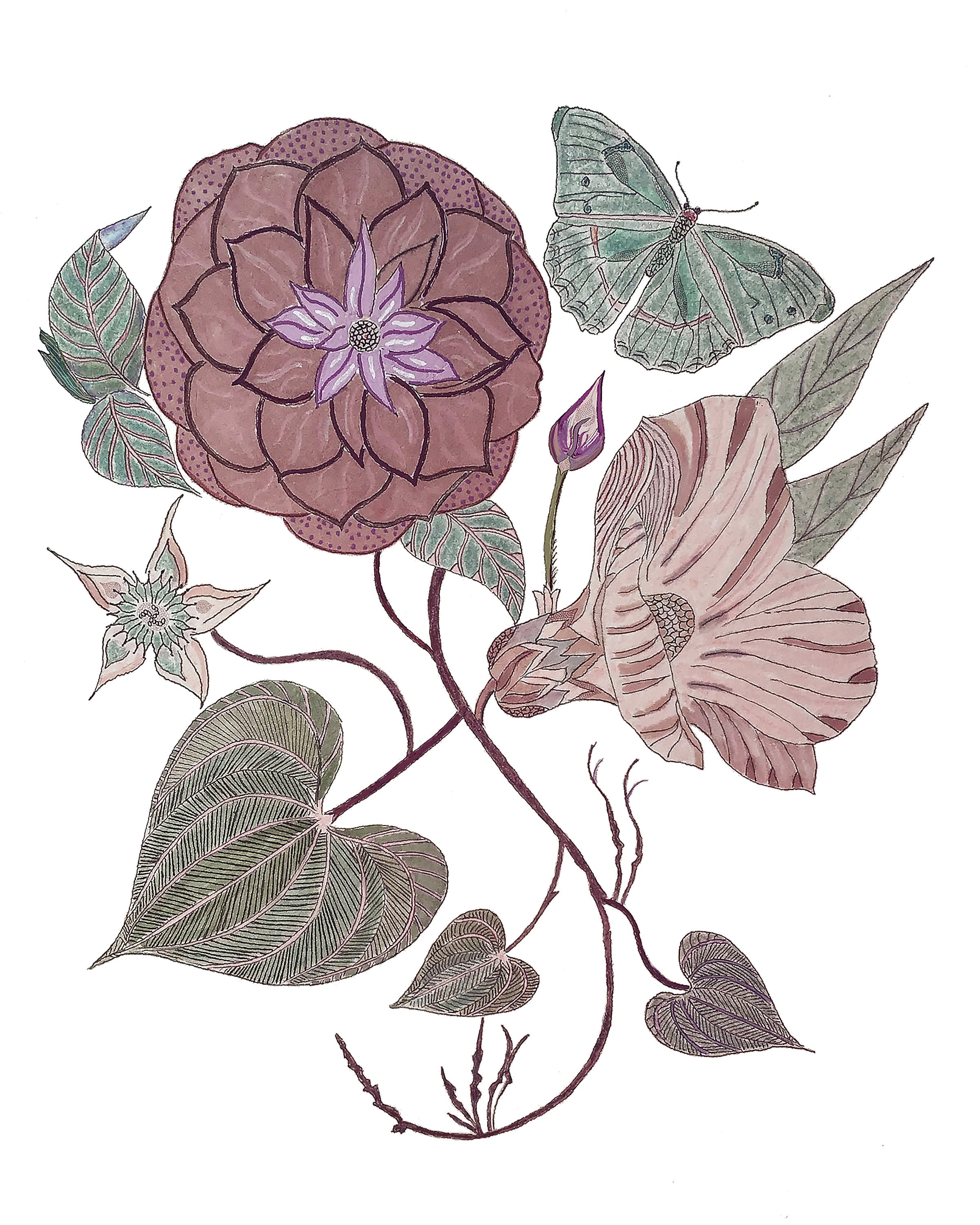 Japanese Camellia Flower Botanical Art Print Earthy Tones | Etsy