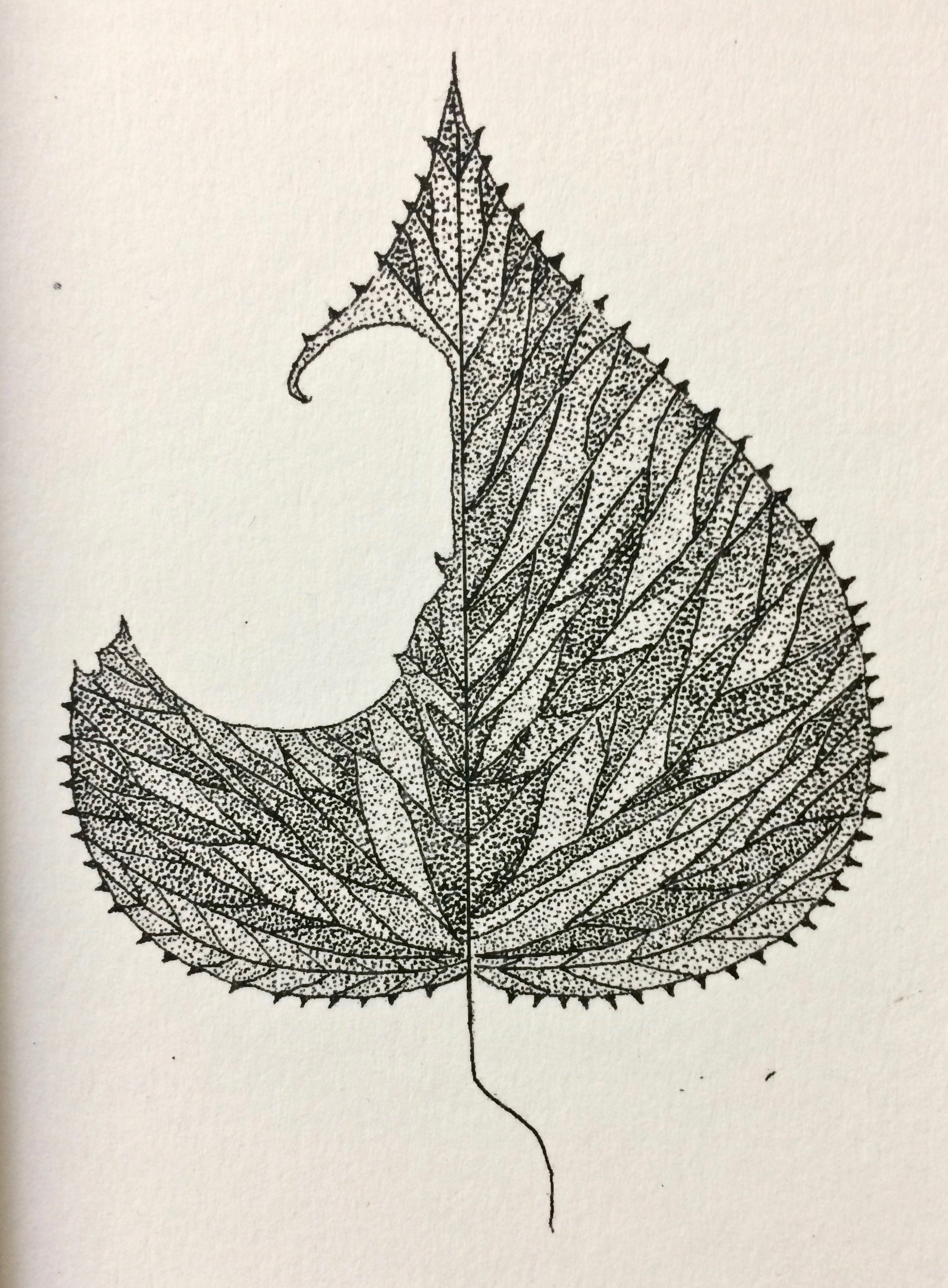 Black and Off-white Aspen Leaf Print Inspired by Nature - Etsy