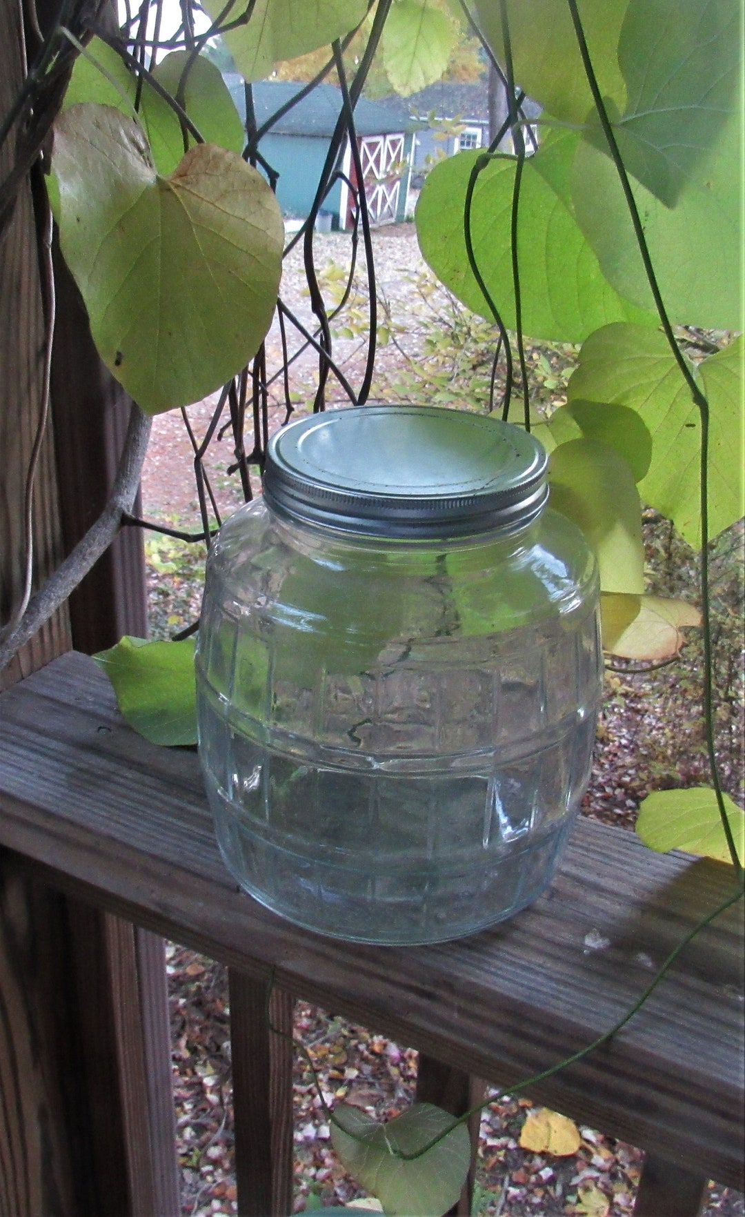 CLEAR GLASS Barrel Design Large Pickle Jar With Lid - Etsy