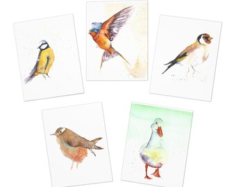 Multi-Design Greeting Cards (5-Pack)