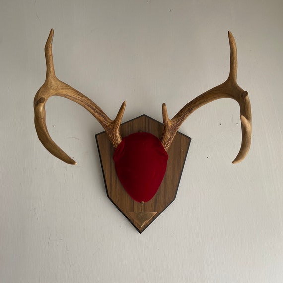 Decorative on sale antlers wall