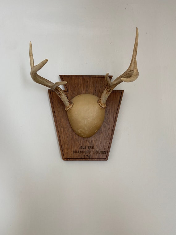 Vintage Deer Antlers Wooden Mount Antler Deer Wall Decor Etsy