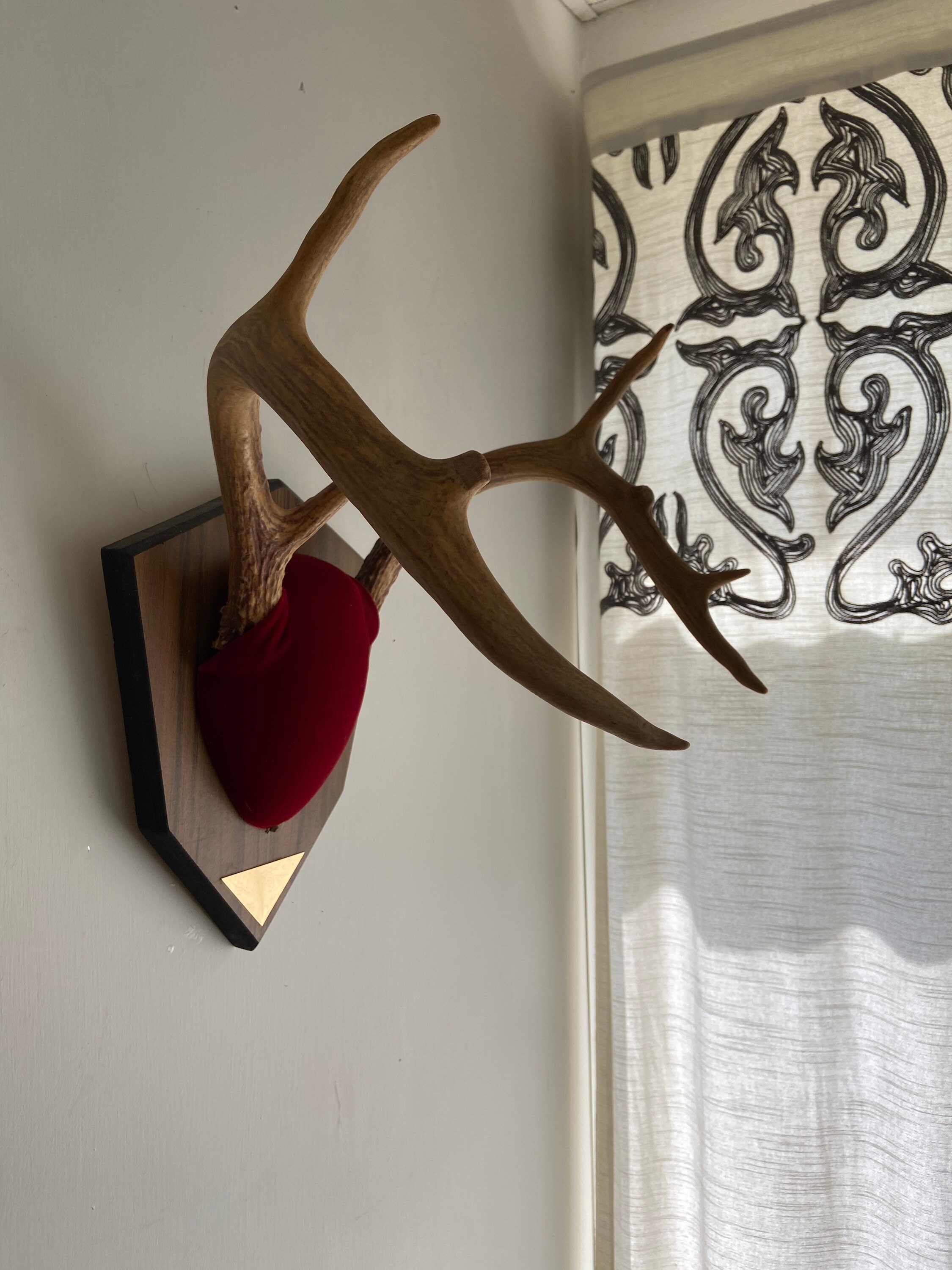 Vintage Deer Antlers Wooden Mount Red Antler Deer Wall Decor Decoration