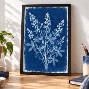 Puede incluir: Una lámina botánica enmarcada que presenta una ilustración blanca estilo cianotipia de flores y hojas de lupino sobre un fondo azul intenso. La obra está dentro de un marco negro sencillo, mostrando una composición floral detallada y de alto contraste.