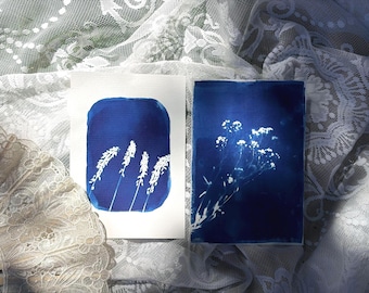 Duo Alley Blooms — Ensemble original de 2 cyanotypes botaniques | Paire de cyanotypes sélectionnés | Décoration murale botanique bleue | Inspiration nature