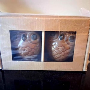 May include: A rectangular cardboard box with a clear plastic window containing two brown owl-shaped figurines. The figurines feature textured feather details and dark eyes, positioned side-by-side within the packaging, which is sealed in clear film.